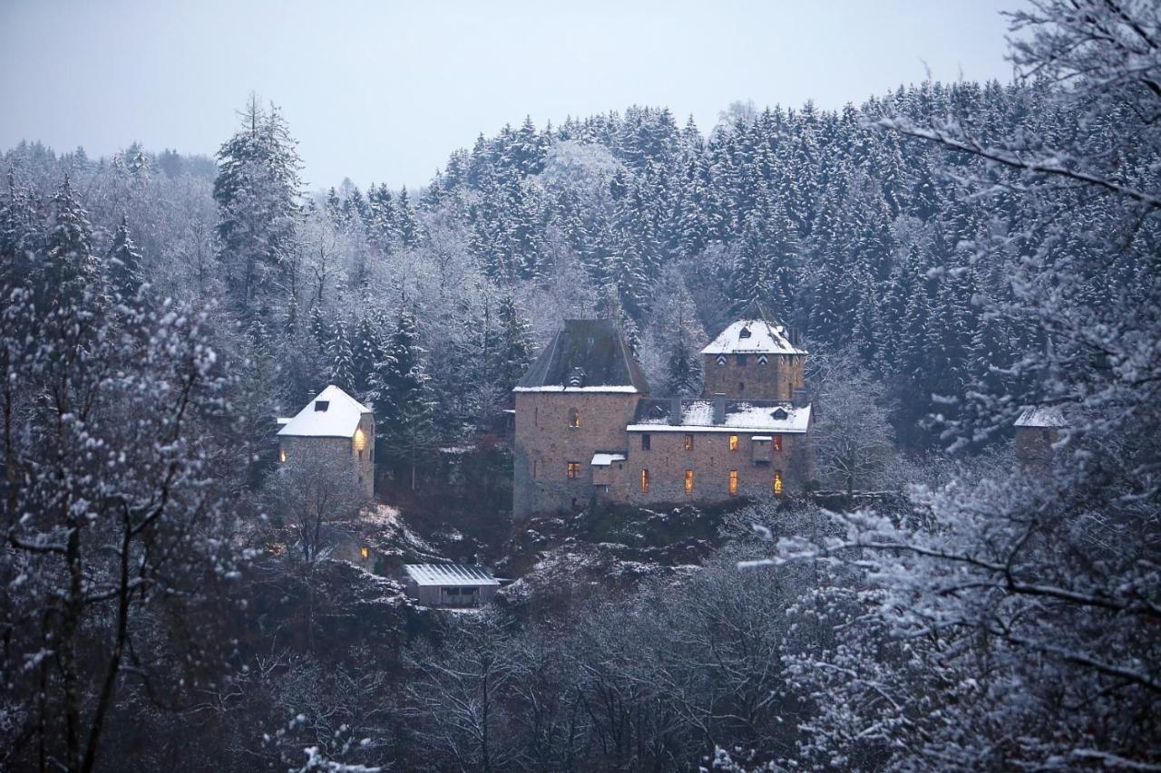 Le Bonheur De La Cascade 24 Pers - Malmedy, Wellness, Jardin, Confort Eksteriør bilde