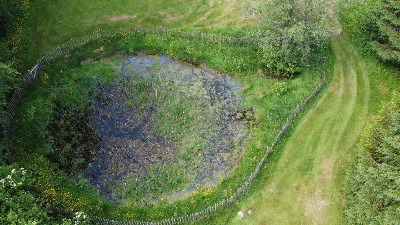 Le Bonheur De La Cascade 24 Pers - Malmedy, Wellness, Jardin, Confort Eksteriør bilde