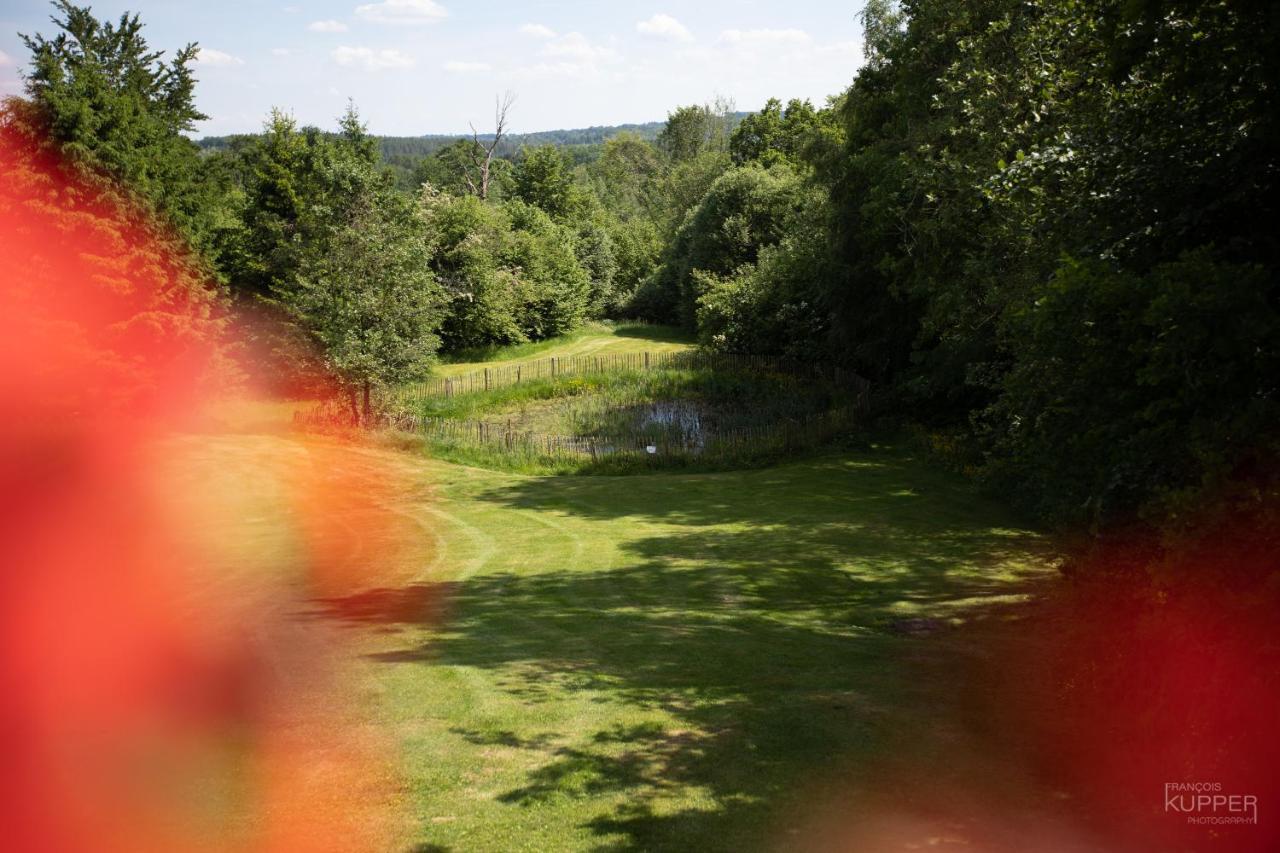 Le Bonheur De La Cascade 24 Pers - Malmedy, Wellness, Jardin, Confort Eksteriør bilde